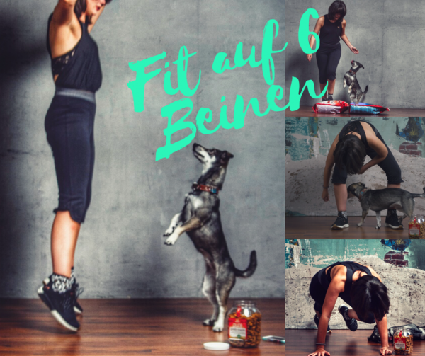 Fit auf 6 Beinen - Das Workout für dich und deinen Hund. Fitness mit Hund kann so einfach sein!